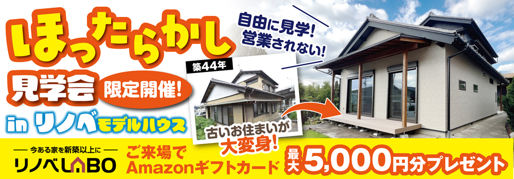 ほったらかし